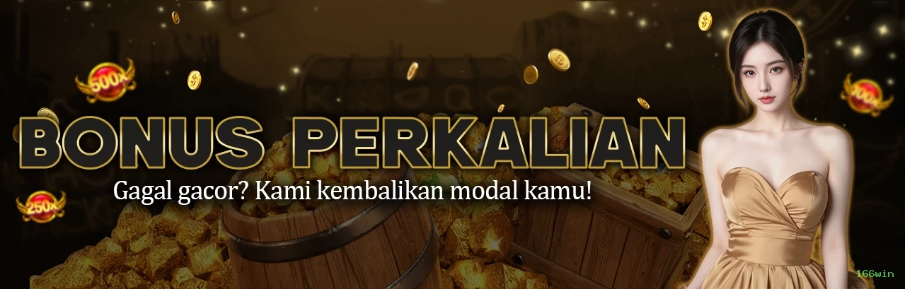 Casino VIP 166win